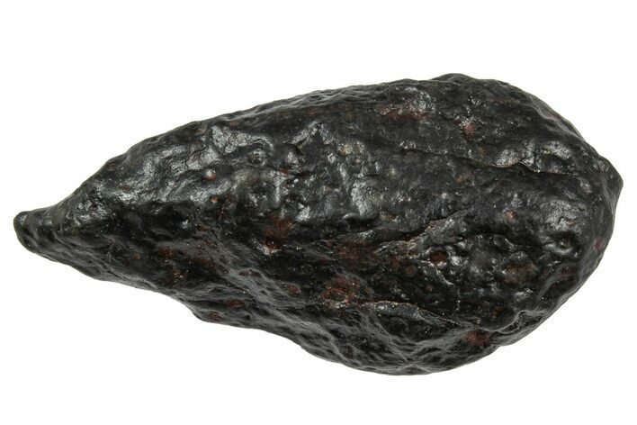 Carbonaceous Chondrite Meteorite ( g) - NWA #333048